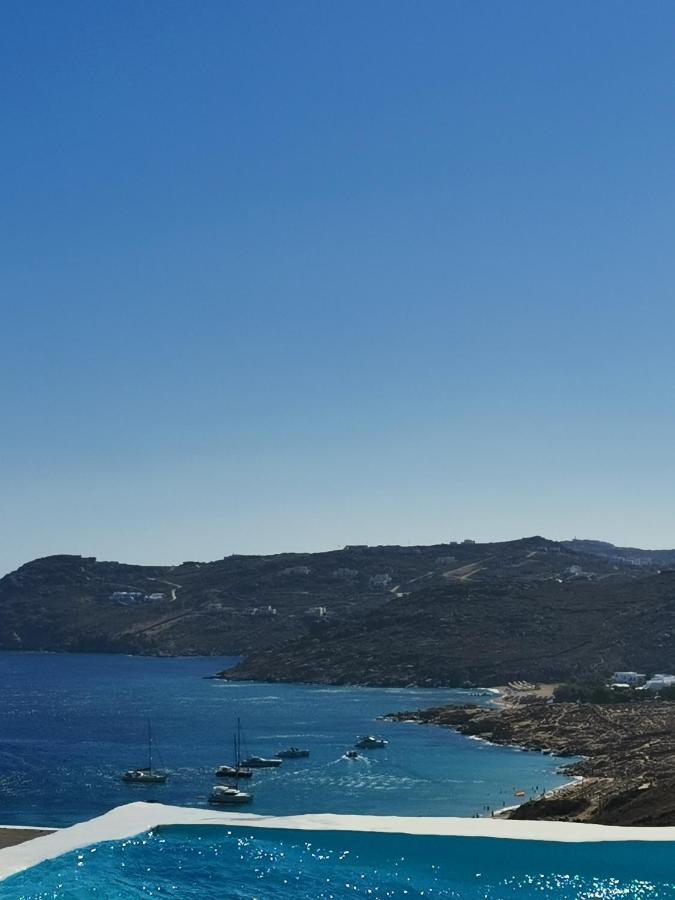 Villa Viktoria In Elia Beach, Mykonos Mykonos Town Esterno foto